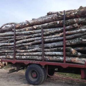 GRUME DE BOIS DE PIN 1 CAMION DE 40M3