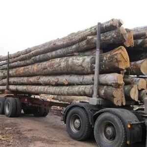 GRUME DE BOIS DE HETRE 1 CAMION DE 40M3